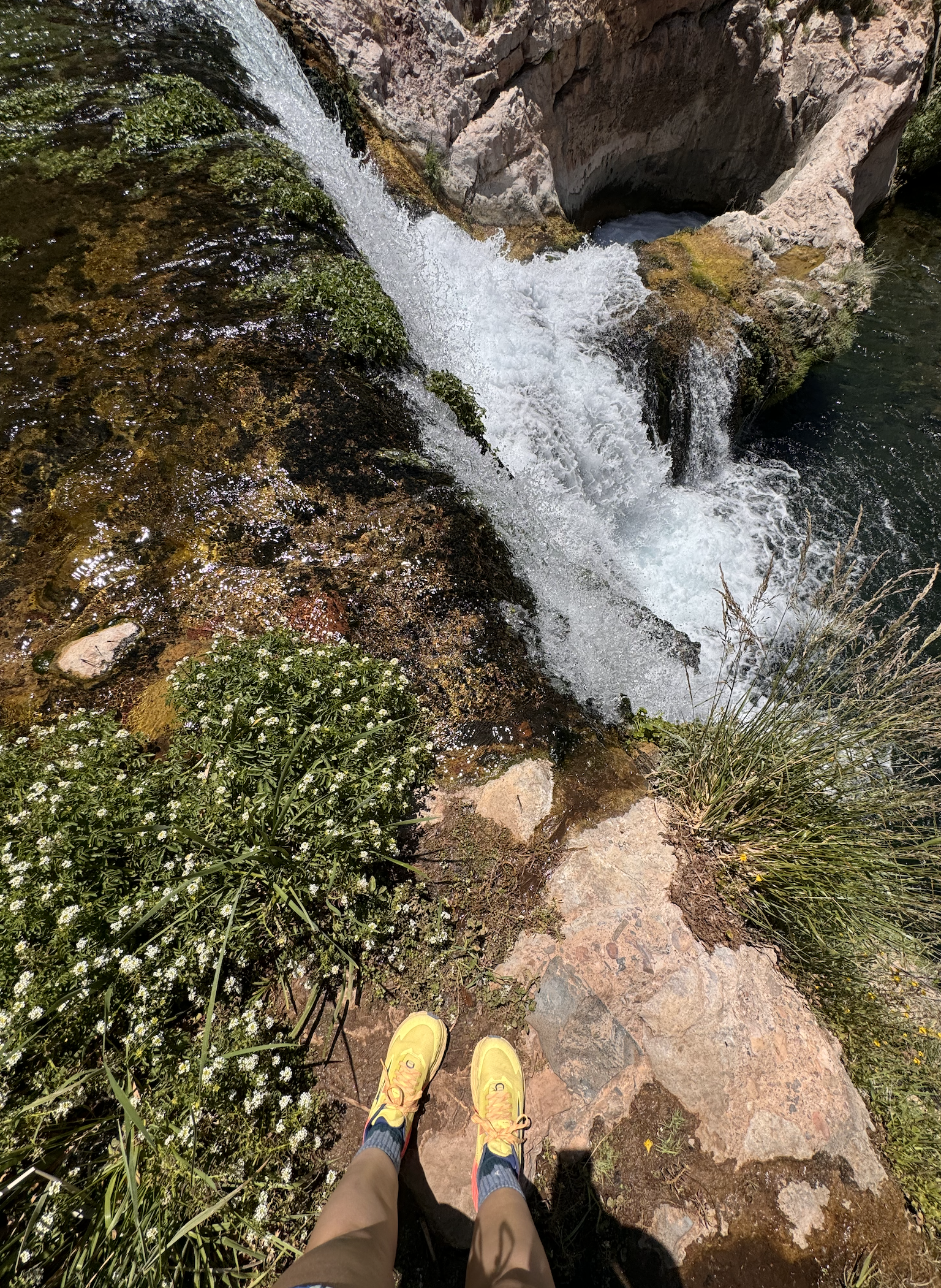 fossil springs top view